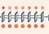 Engineering AI Reliability: Seven Essential Regression Tests for Production-Grade Agentic Systems