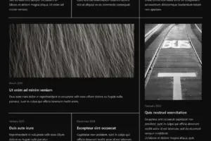 Executive Overview