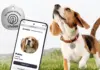 Life360 Expands Its Ecosystem: Affordable Scannable Tags, "Zoomies Alerts," and Lower Tiers Redefine Pet Tech