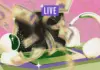 The Anatomy of Modern Retail Bargains: Inside Lifehacker’s Ongoing Mission to Cut Through Consumer Noise