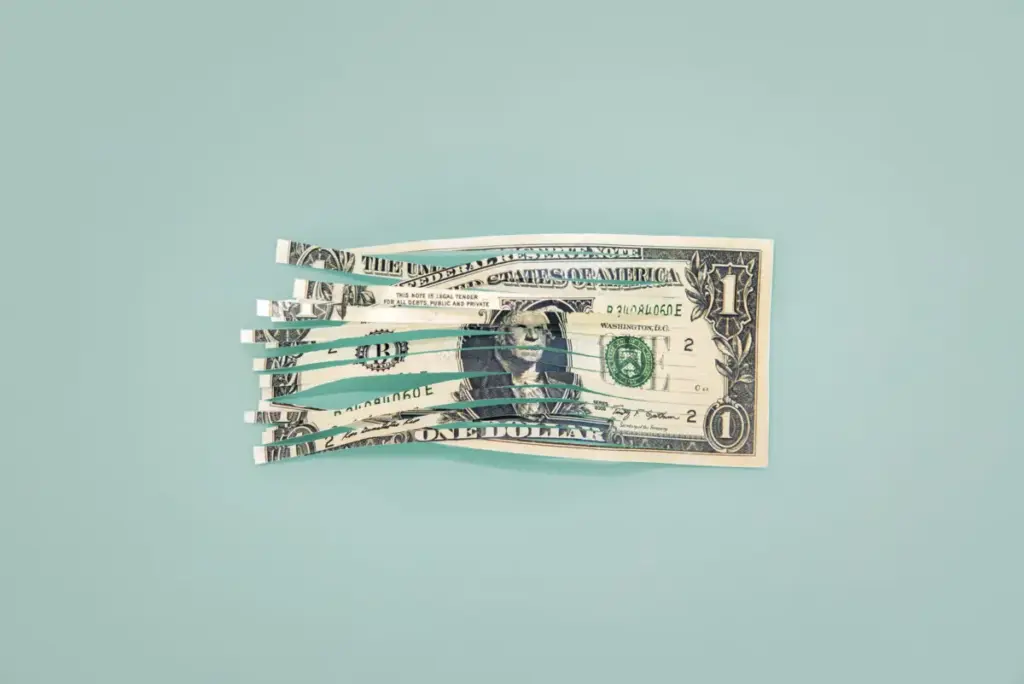 Shredded one dollar bill
