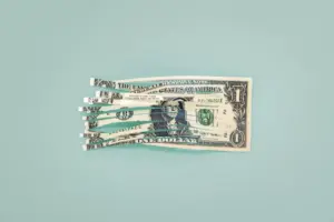 Shredded one dollar bill
