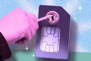 The Digital Skeleton Key: Why Your Phone Number Is a Security Liability and How to Lock It Down